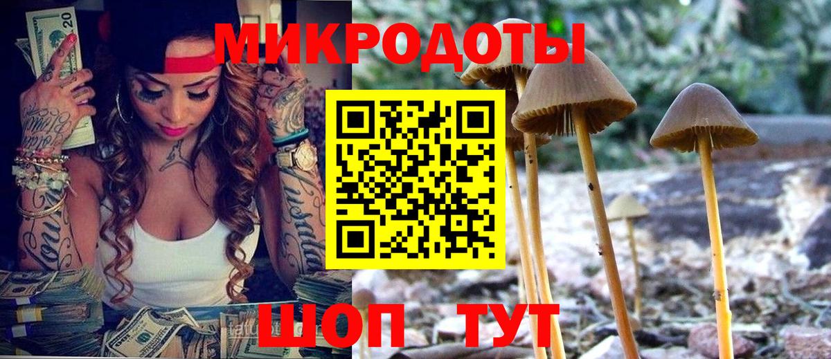 Кемерово  Галлюциногенные грибы GOLDEN TEACHER  Вход с VPN 